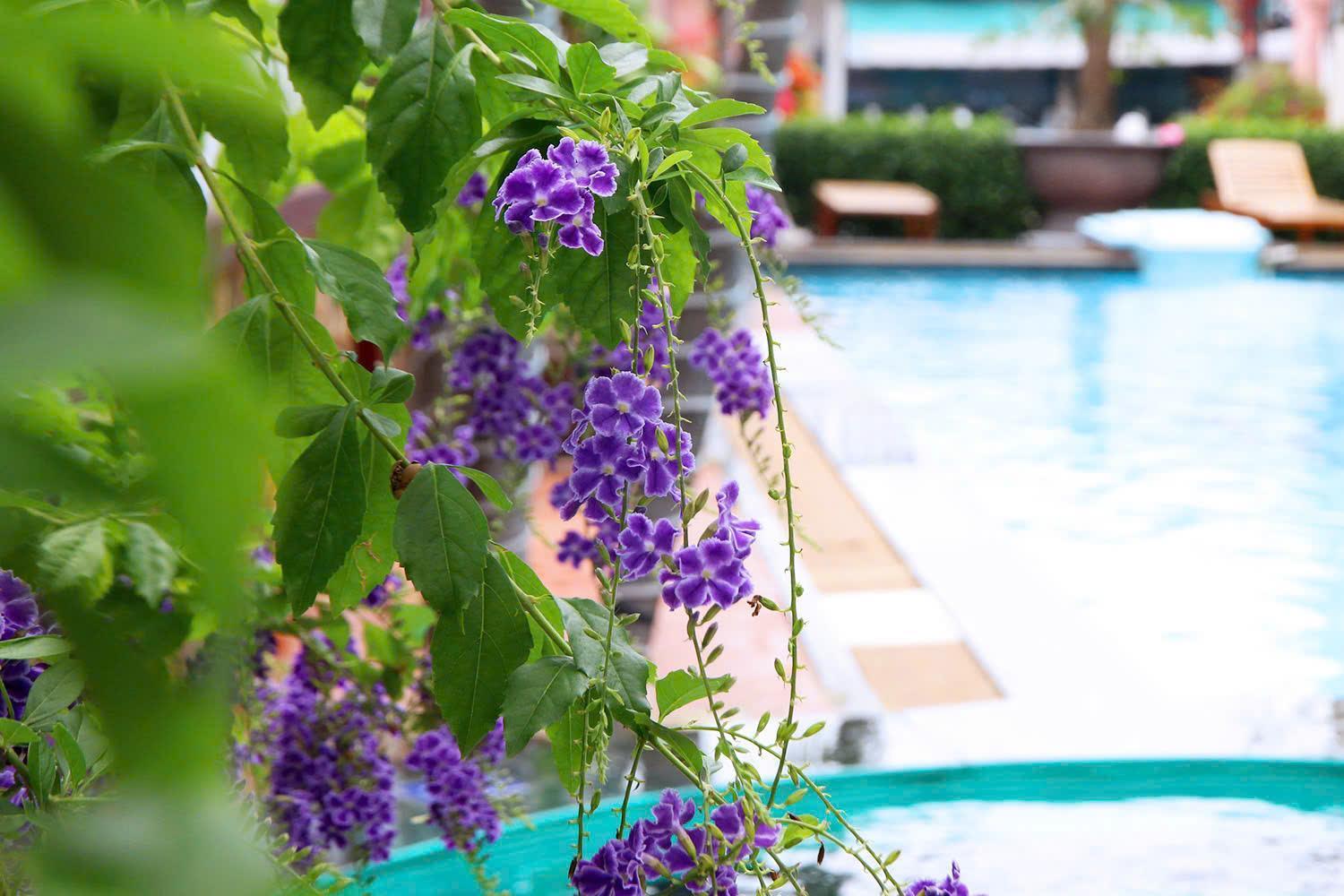 Ha Phuong Mui Ne Hotel Dış mekan fotoğraf